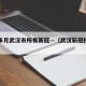 三个多月武汉市所有新冠—（武汉新冠持续了多久）