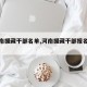 【河南援藏干部名单,河南援藏干部报名条件】