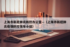 上海市新冠肺炎防控办公室—（上海市新冠肺炎疫情防控领导小组）