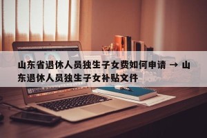 山东省退休人员独生子女费如何申请 → 山东退休人员独生子女补贴文件