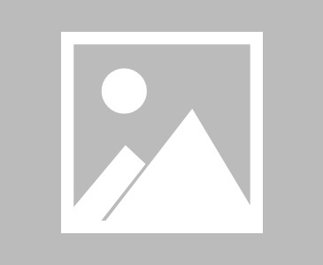 【玩家游戏玩法】“微乐窝龙自动托管怎样赢”掌握辅助功能必胜规则