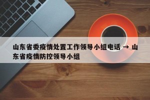 山东省委疫情处置工作领导小组电话 → 山东省疫情防控领导小组