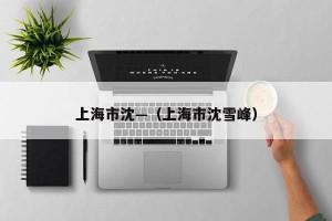 上海市沈—（上海市沈雪峰）